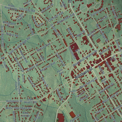 Close-up of the map of Oxford, North Carolina print showing street and building detail