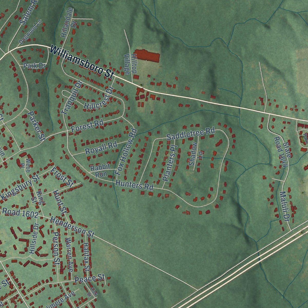Second close-up of the map of Oxford, North Carolina print showing more streets and buildings