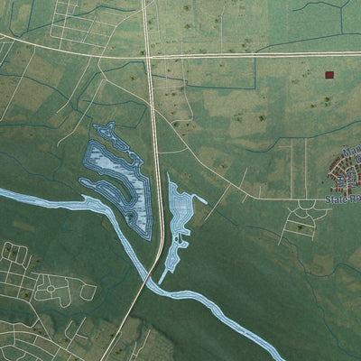 Close-up of the map of Pactolus, North Carolina print showing street and building detail