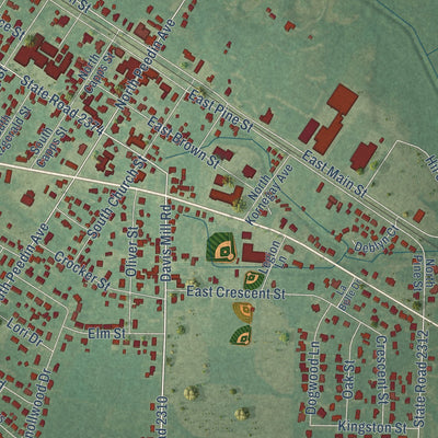 Close-up of the map of Pine Level, North Carolina print showing street and building detail