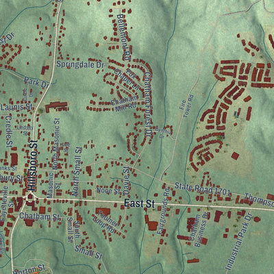 Close-up of the map of Pittsboro, North Carolina print showing street and building detail