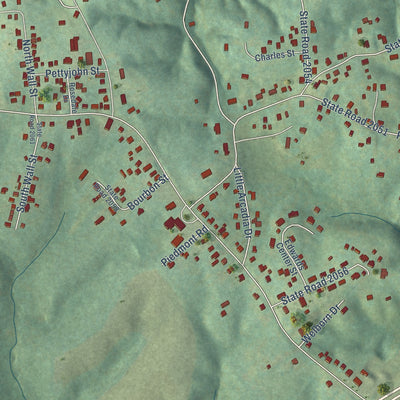 Close-up of the map of Pleasant Hill, North Carolina print showing street and building detail