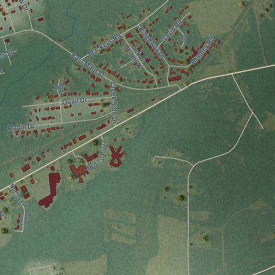 Second close-up of the map of Plymouth, North Carolina print showing more streets and buildings