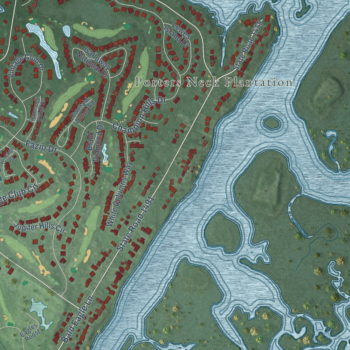 Close-up of the map of Porters Neck, North Carolina print showing street and building detail