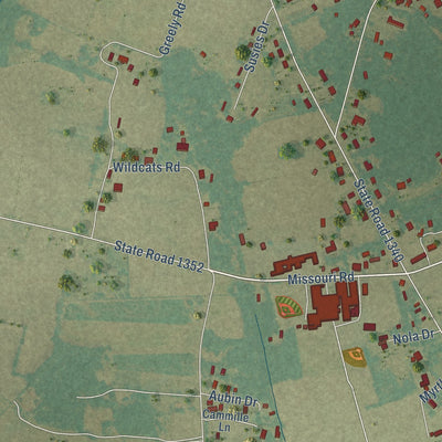Close-up of the map of Prospect, North Carolina print showing street and building detail