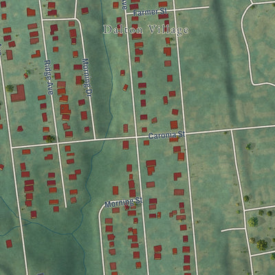 Close-up of the map of Reid Park, North Carolina print showing street and building detail