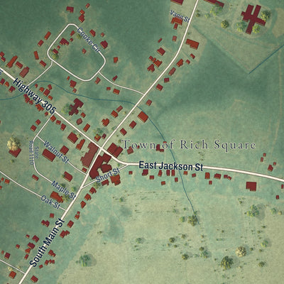 Close-up of the map of Rich Square, North Carolina print showing street and building detail