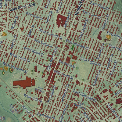 Close-up of the map of Roanoke Rapids, North Carolina print showing street and building detail
