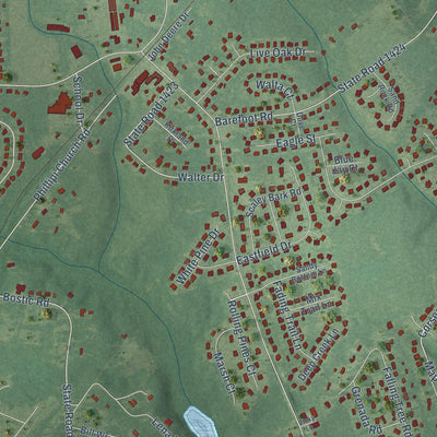 Close-up of the map of Rockfish, North Carolina print showing street and building detail