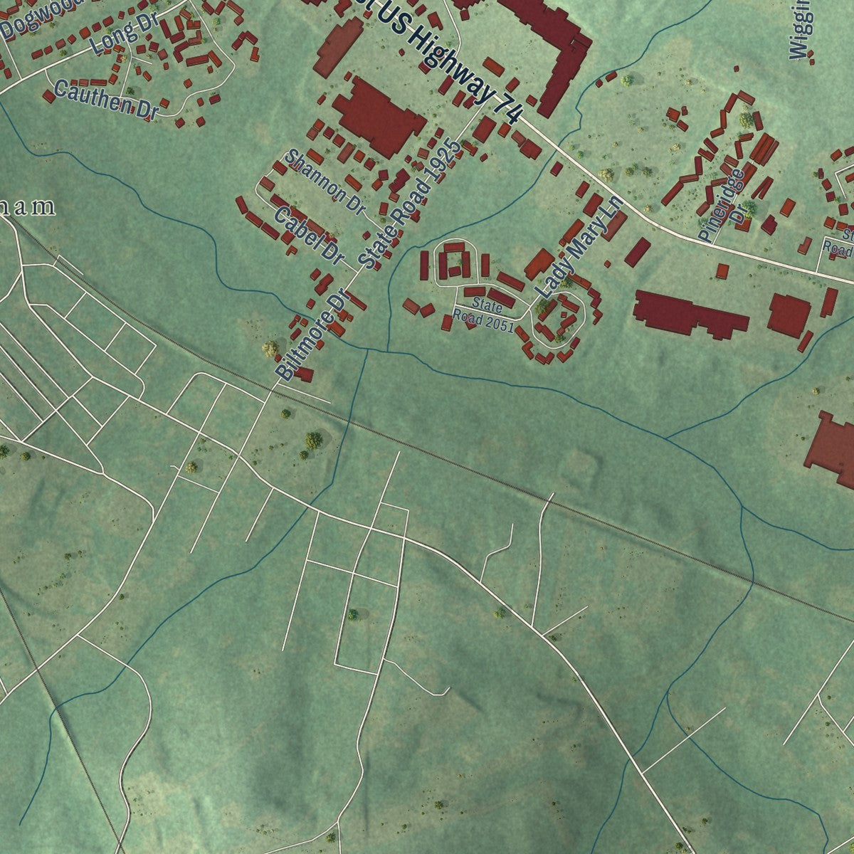 Second close-up of the map of Rockingham, North Carolina print showing more streets and buildings