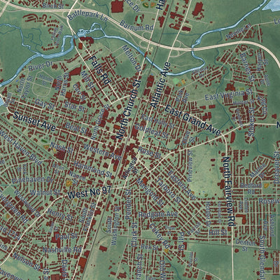 Close-up of the map of Rocky Mount, North Carolina print showing street and building detail