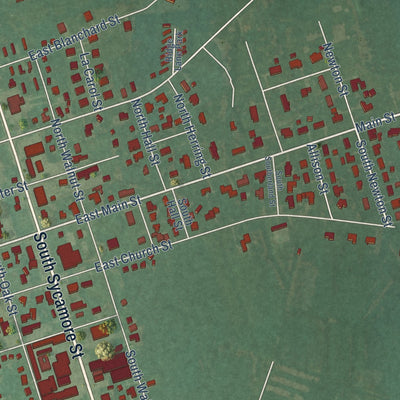 Second close-up of the map of Rose Hill, North Carolina print showing more streets and buildings