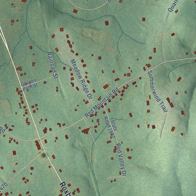 Close-up of the map of Rougemont, North Carolina print showing street and building detail