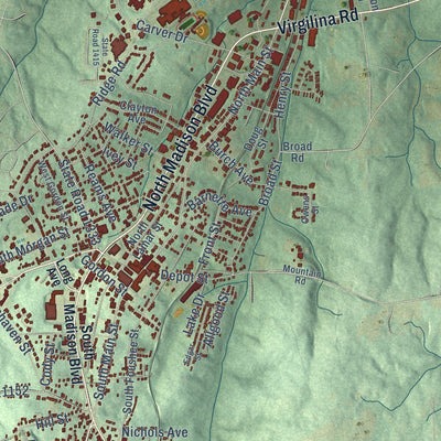 Close-up of the map of Roxboro, North Carolina print showing street and building detail