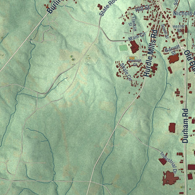 Second close-up of the map of Roxboro, North Carolina print showing more streets and buildings