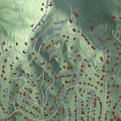 Close-up of the map of Royal Pines, North Carolina print showing street and building detail