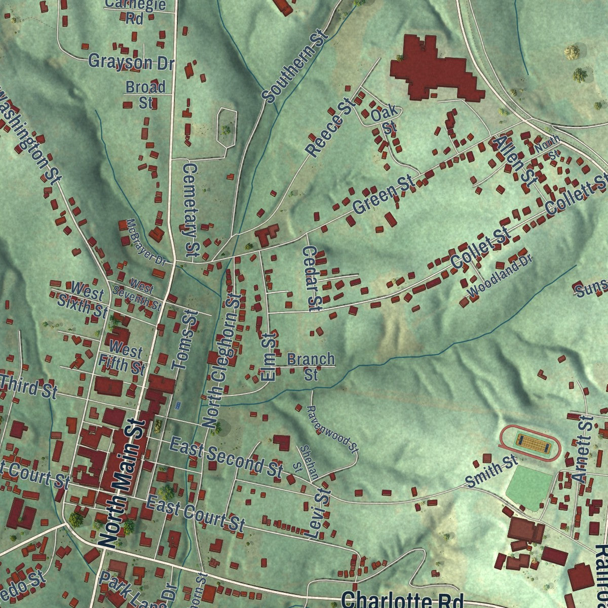 Close-up of the map of Rutherfordton, North Carolina print showing street and building detail