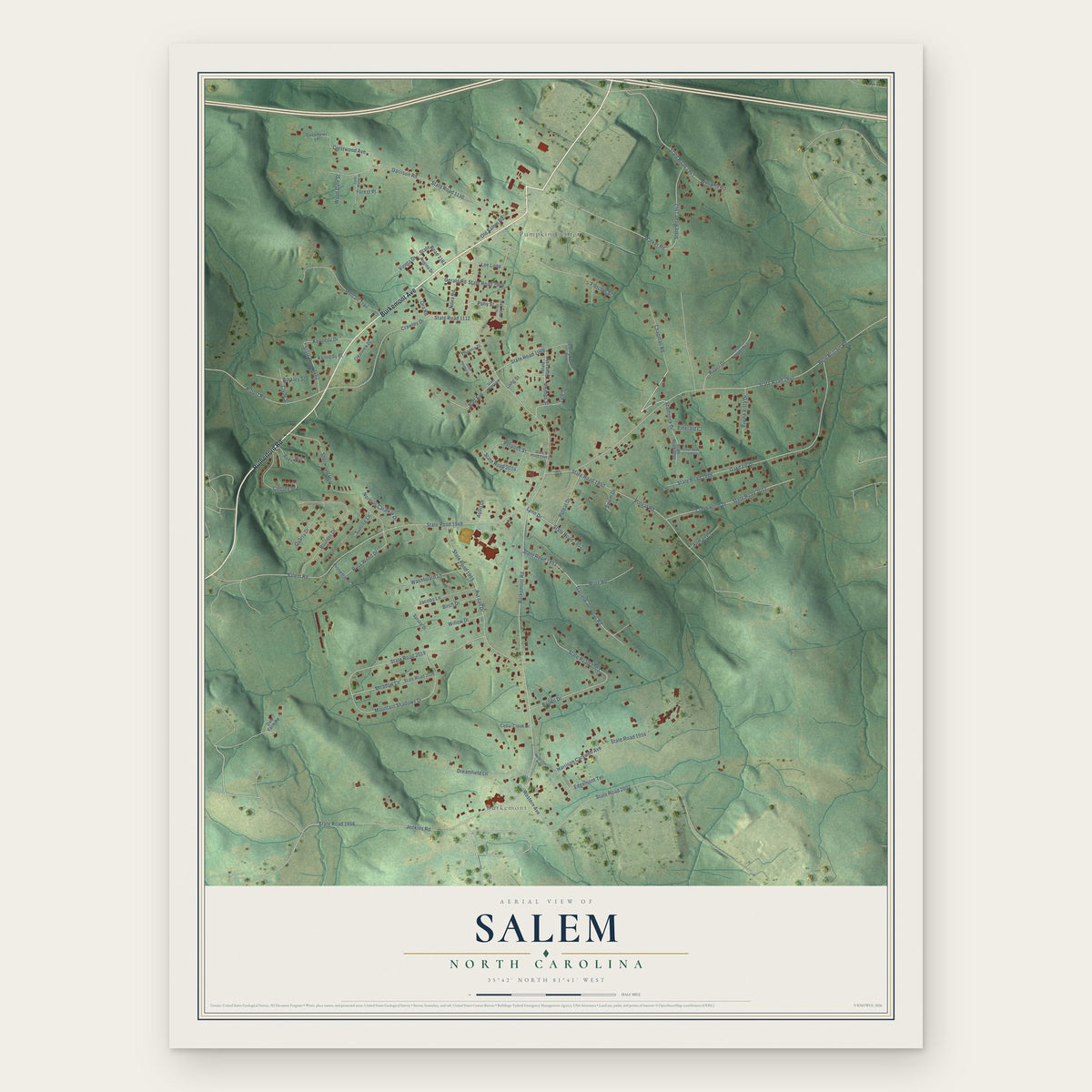 Salem, North Carolina map print, the full design