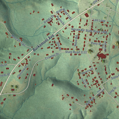 Close-up of the map of Salem, North Carolina print showing street and building detail