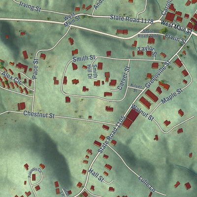 Close-up of the map of Saluda, North Carolina print showing street and building detail
