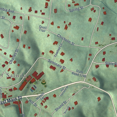 Second close-up of the map of Saluda, North Carolina print showing more streets and buildings
