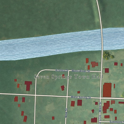 Close-up of the map of Seven Springs, North Carolina print showing street and building detail