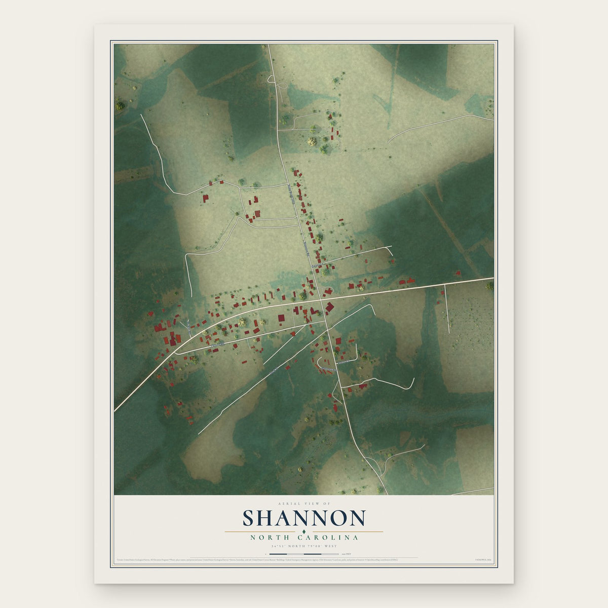 Shannon, North Carolina map print, the full design