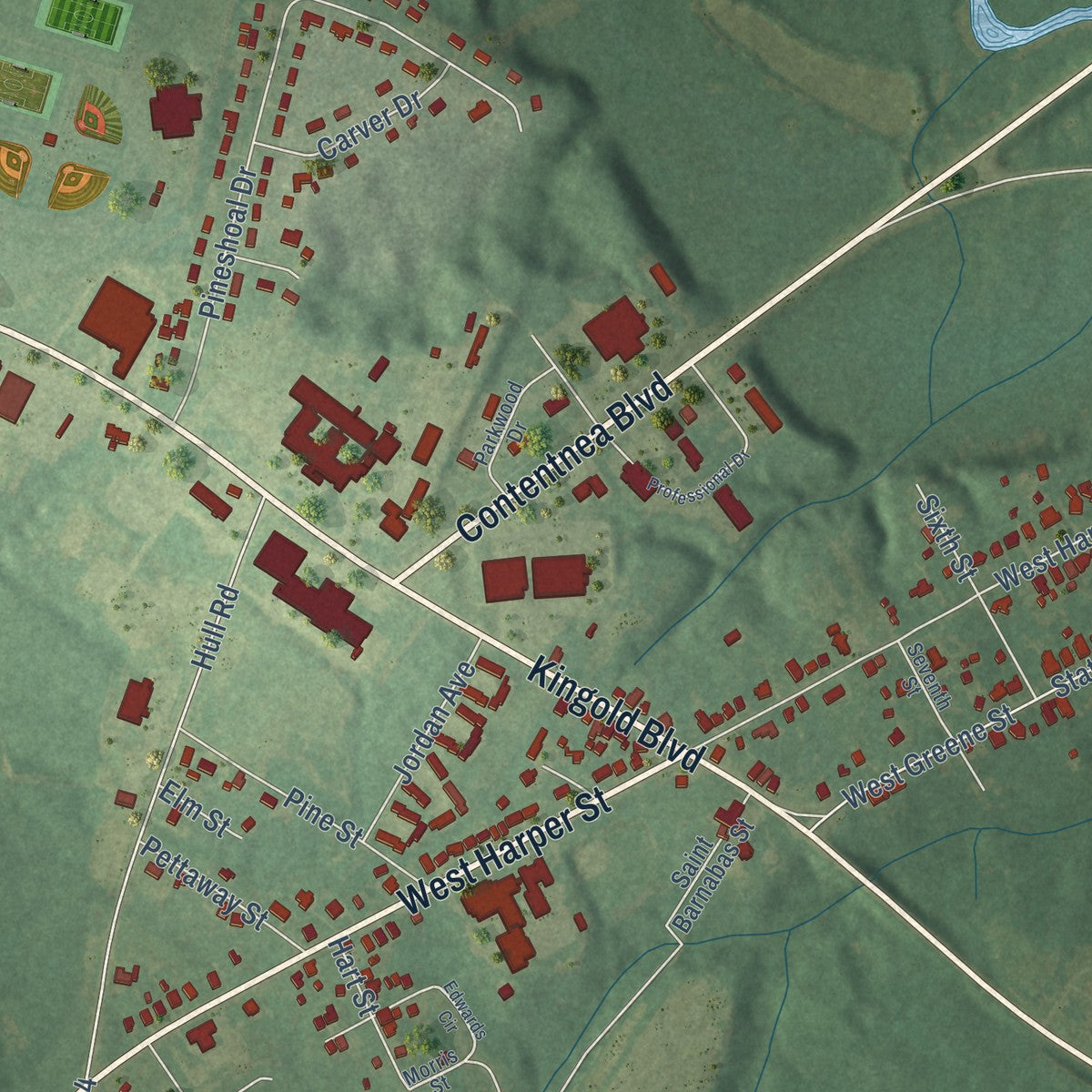Close-up of the map of Snow Hill, North Carolina print showing street and building detail