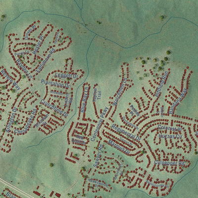 Close-up of the map of Spout Springs, North Carolina print showing street and building detail
