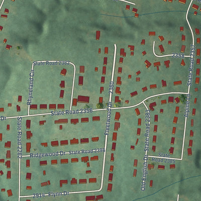 Close-up of the map of Springdale, North Carolina print showing street and building detail