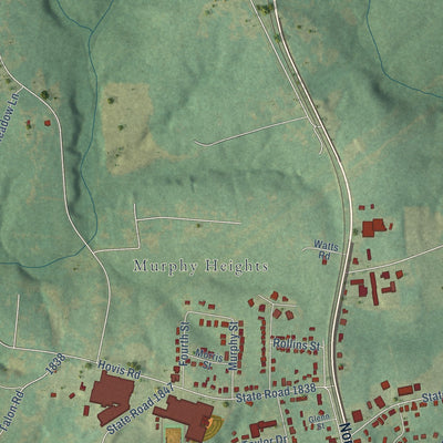 Second close-up of the map of Stanley, North Carolina print showing more streets and buildings