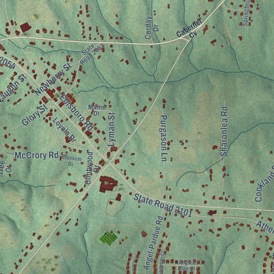 Close-up of the map of Stokesdale, North Carolina print showing street and building detail