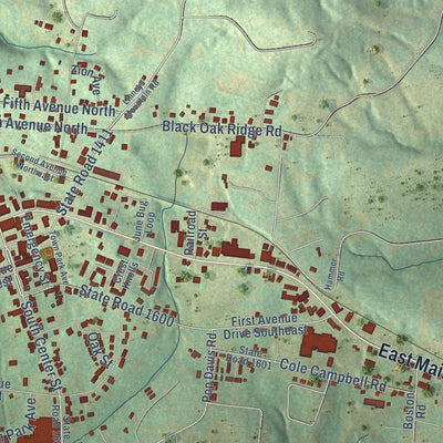 Close-up of the map of Taylorsville, North Carolina print showing street and building detail