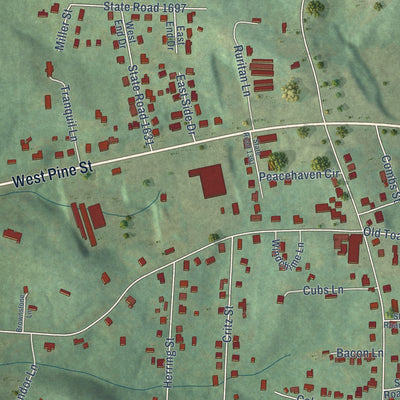 Close-up of the map of Toast, North Carolina print showing street and building detail