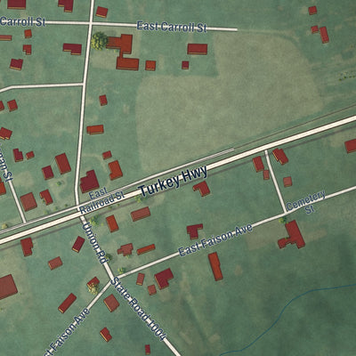 Close-up of the map of Turkey, North Carolina print showing street and building detail