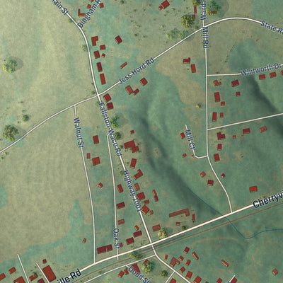 Close-up of the map of Waco, North Carolina print showing street and building detail