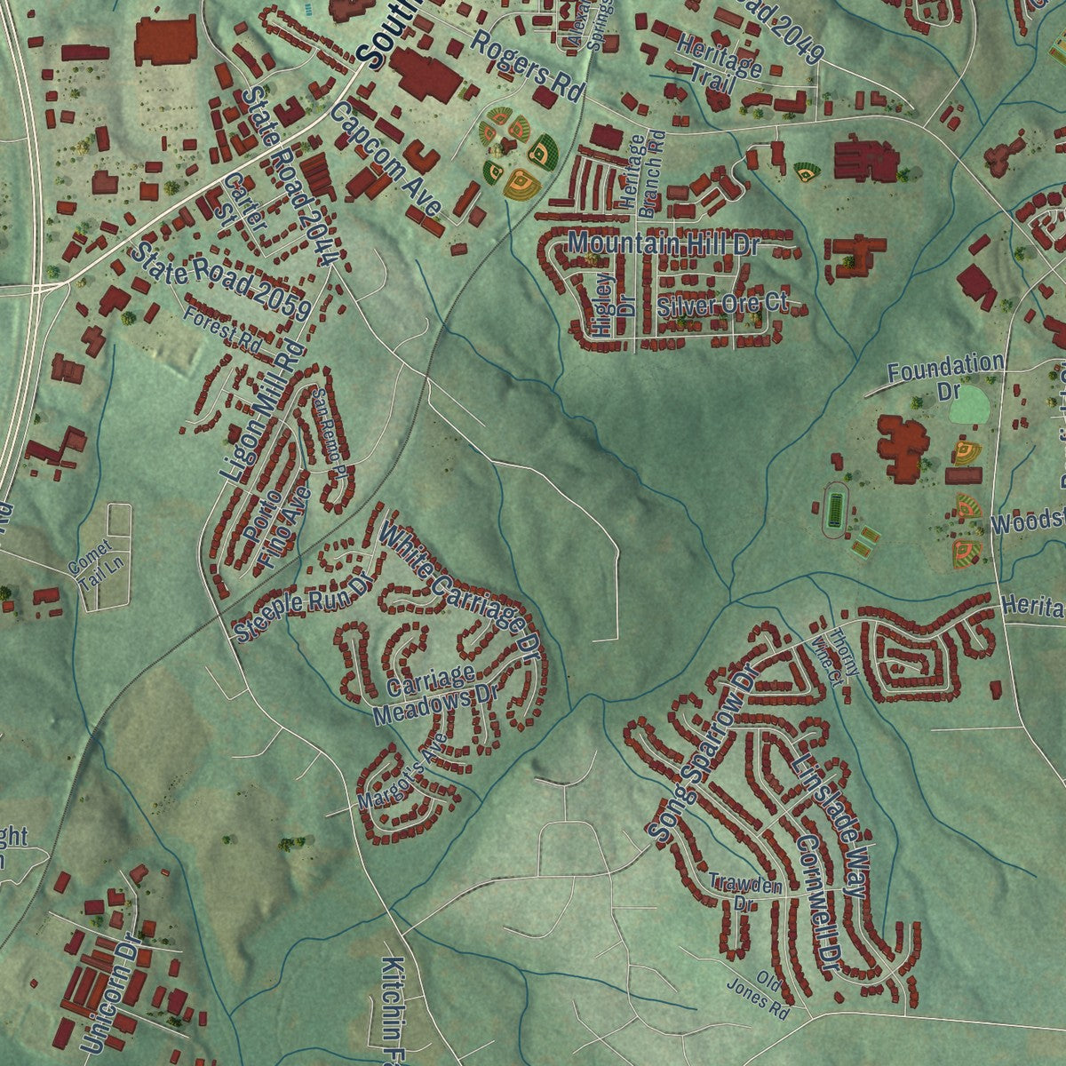 Second close-up of the map of Wake Forest, North Carolina print showing more streets and buildings