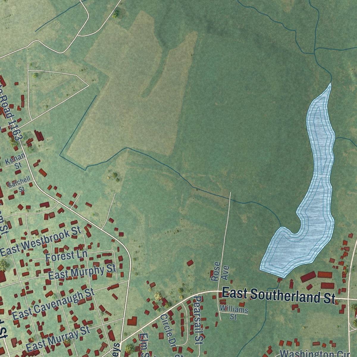 Second close-up of the map of Wallace, North Carolina print showing more streets and buildings