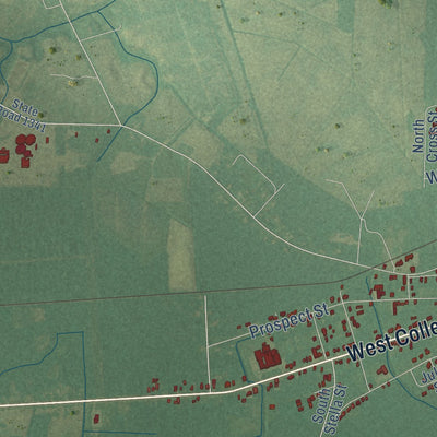 Second close-up of the map of Warsaw, North Carolina print showing more streets and buildings