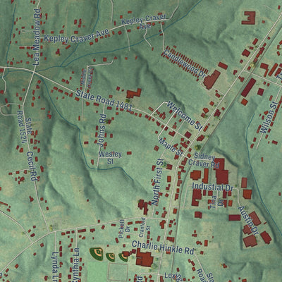 Close-up of the map of Welcome, North Carolina print showing street and building detail
