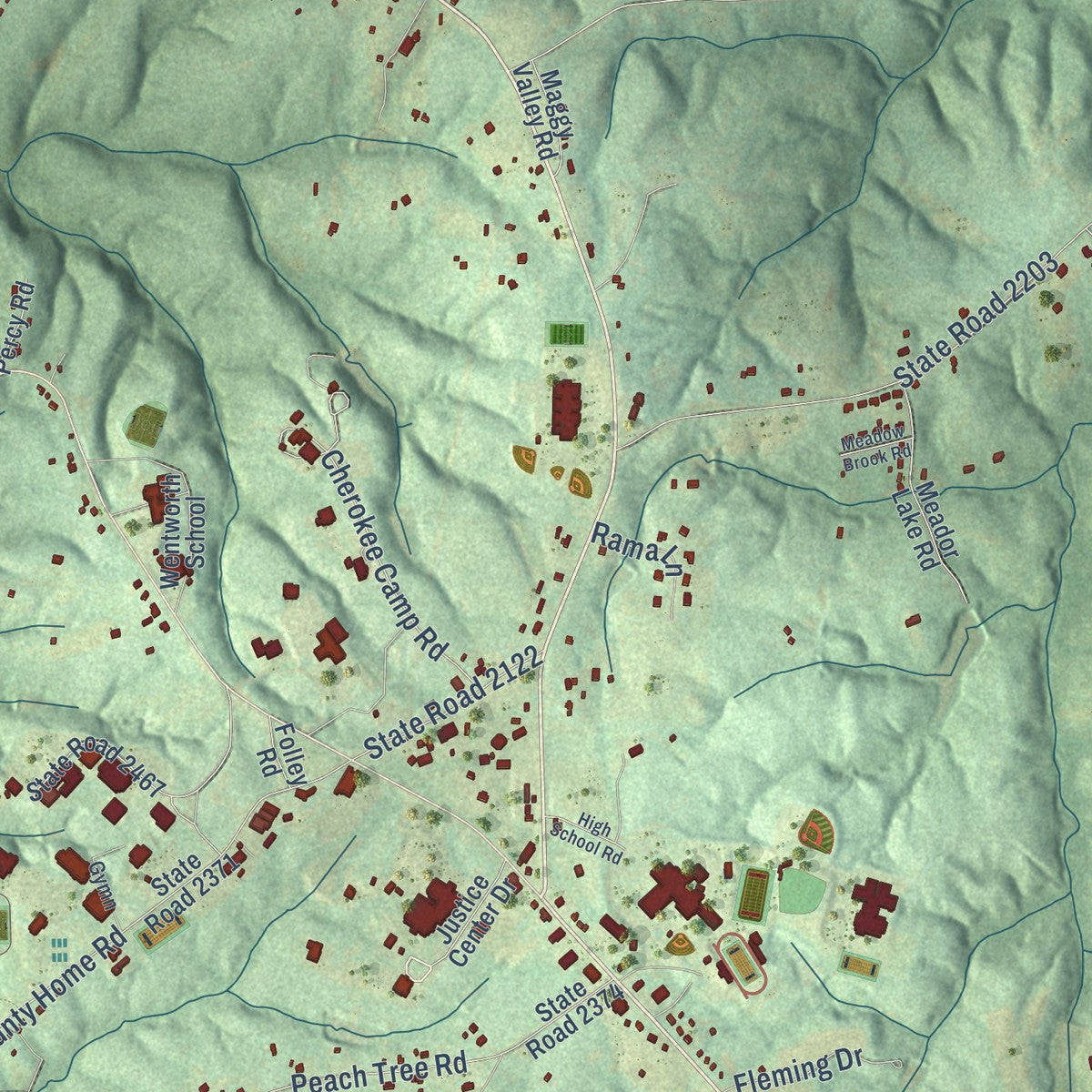 Close-up of the map of Wentworth, North Carolina print showing street and building detail
