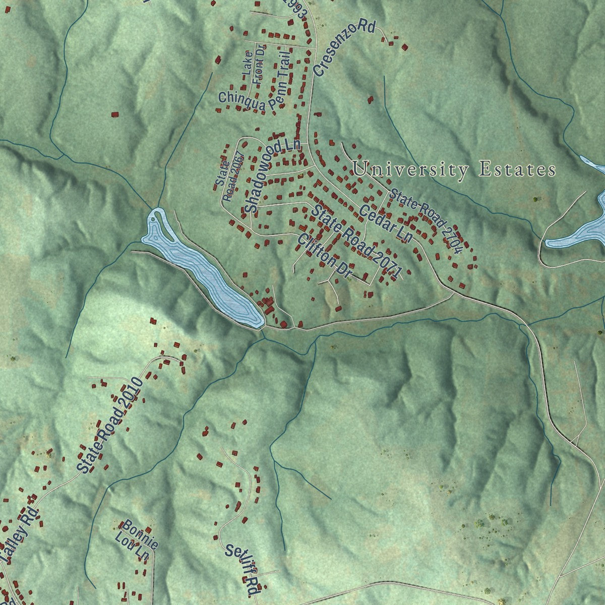 Second close-up of the map of Wentworth, North Carolina print showing more streets and buildings
