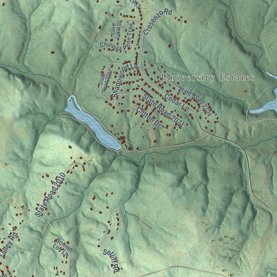Second close-up of the map of Wentworth, North Carolina print showing more streets and buildings