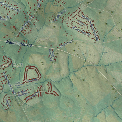Second close-up of the map of Wesley Chapel, North Carolina print showing more streets and buildings