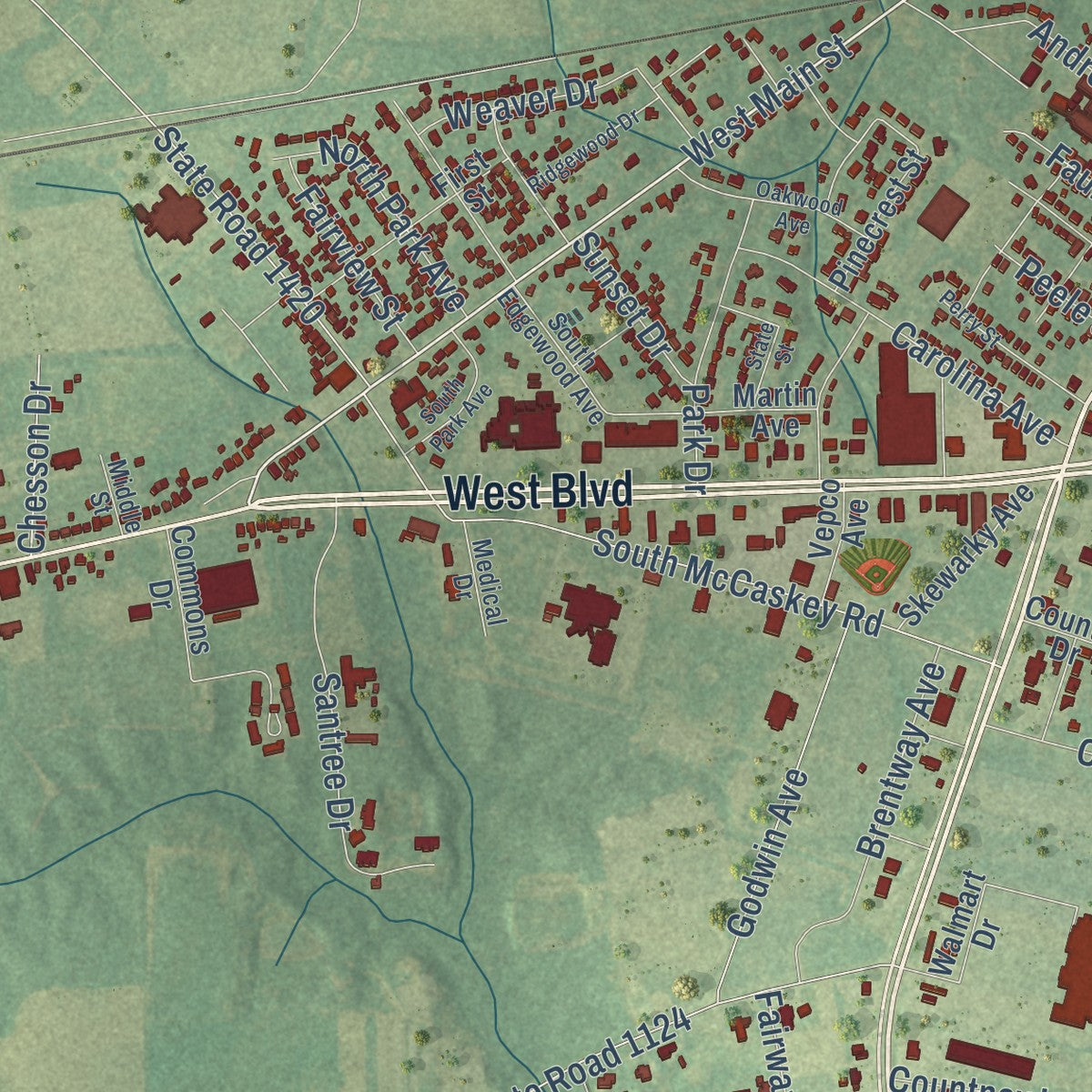 Close-up of the map of Williamston, North Carolina print showing street and building detail