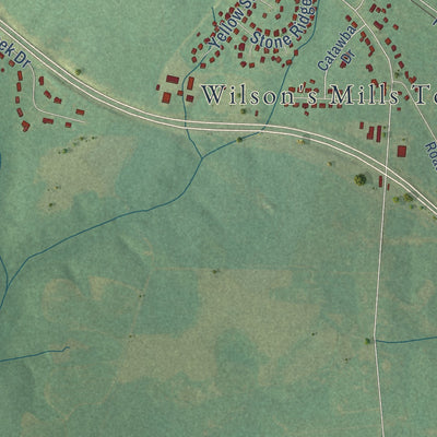 Second close-up of the map of Wilson's Mills, North Carolina print showing more streets and buildings