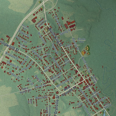 Close-up of the map of Windsor, North Carolina print showing street and building detail