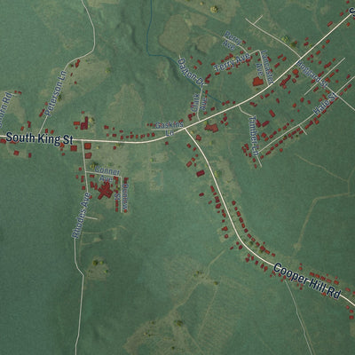 Second close-up of the map of Windsor, North Carolina print showing more streets and buildings