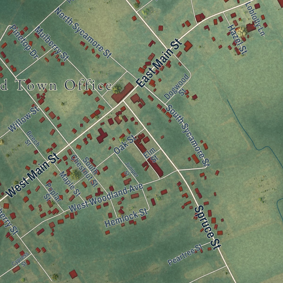 Close-up of the map of Woodland, North Carolina print showing street and building detail