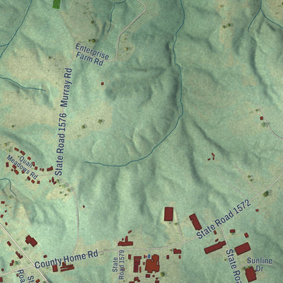 Second close-up of the map of Yanceyville, North Carolina print showing more streets and buildings
